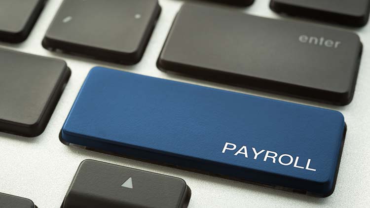 Payroll Fetch: A user-friendly, simple-to-use app that delivers the best-quality data